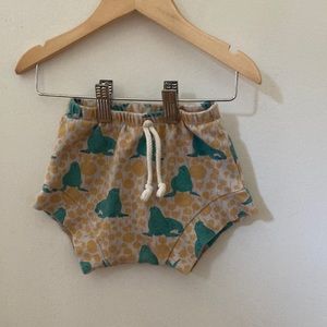 Sea lion bubble shorties 🦭